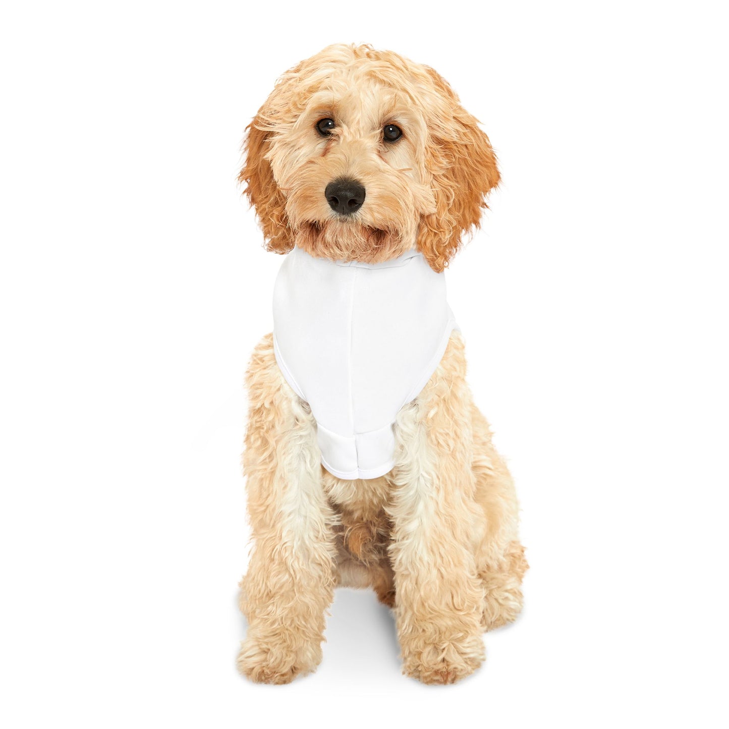 The LuLu Pet Hoodie