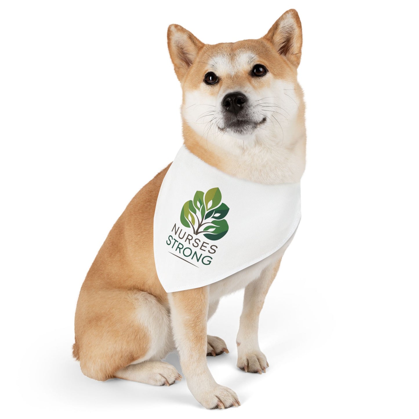 The Ryder Pet Bandana Collar